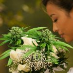 weed-mag